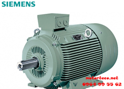 Motor Siemens 1LG4